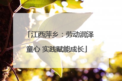 江西萍乡：劳动润泽童心 实践赋能成长