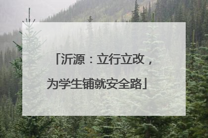 沂源：立行立改，为学生铺就安全路