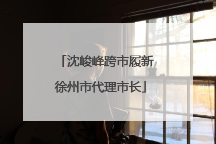 沈峻峰跨市履新徐州市代理市长