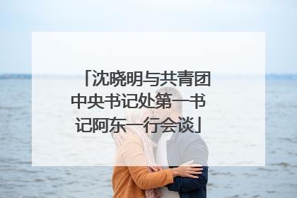 沈晓明与共青团中央书记处第一书记阿东一行会谈