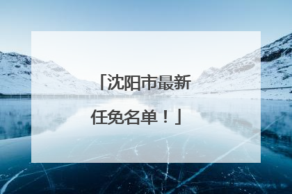 沈阳市最新任免名单！