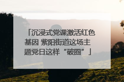沉浸式党课激活红色基因 紫阳街道这场主题党日这样“破圈”
