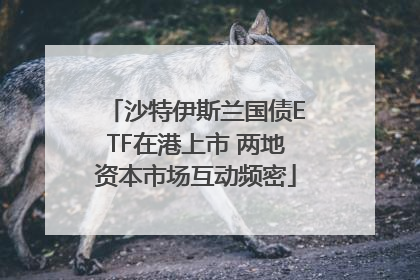 沙特伊斯兰国债ETF在港上市 两地资本市场互动频密