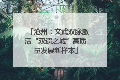 沧州：文武双脉激活“双遗之城”高质量发展新样本