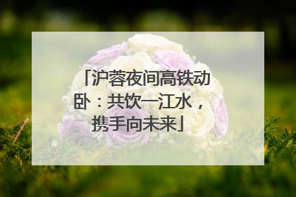 沪蓉夜间高铁动卧：共饮一江水，携手向未来