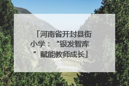 河南省开封县街小学：“银发智库”赋能教师成长