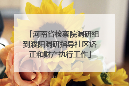 河南省检察院调研组到濮阳调研指导社区矫正和财产执行工作