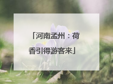 河南孟州：荷香引得游客来