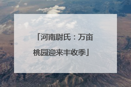 河南尉氏：万亩桃园迎来丰收季
