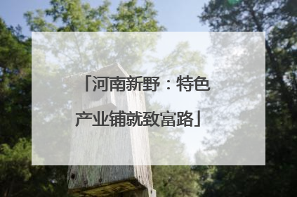 河南新野：特色产业铺就致富路