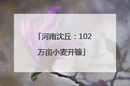 河南沈丘：102 万亩小麦开镰
