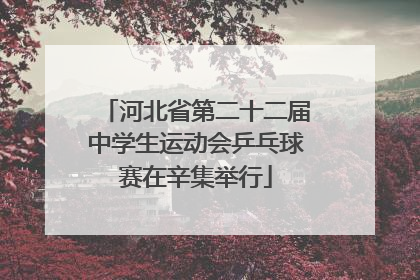 河北省第二十二届中学生运动会乒乓球赛在辛集举行