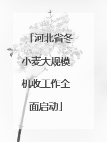 河北省冬小麦大规模机收工作全面启动
