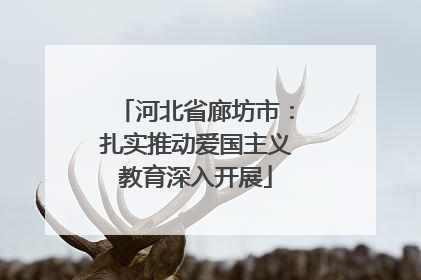 河北省廊坊市：扎实推动爱国主义教育深入开展
