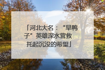 河北大名：“旱鸭子”英雄深水营救 托起沉没的希望