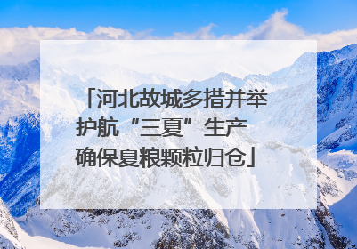 河北故城多措并举护航“三夏”生产 确保夏粮颗粒归仓