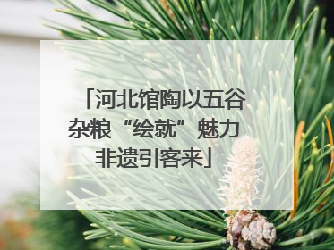 河北馆陶以五谷杂粮“绘就”魅力非遗引客来