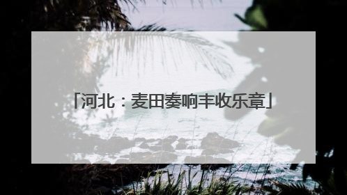 河北：麦田奏响丰收乐章