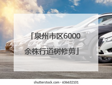 泉州市区6000余株行道树修剪