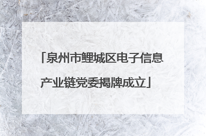 泉州市鲤城区电子信息产业链党委揭牌成立