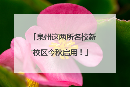泉州这两所名校新校区今秋启用！