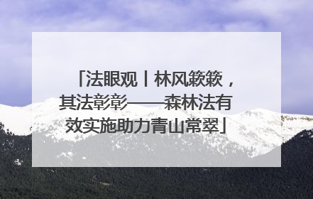 法眼观丨林风簌簌，其法彰彰——森林法有效实施助力青山常翠