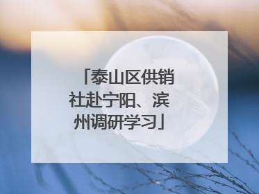 泰山区供销社赴宁阳、滨州调研学习