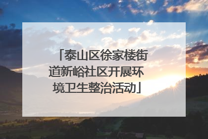 泰山区徐家楼街道新峪社区开展环境卫生整治活动