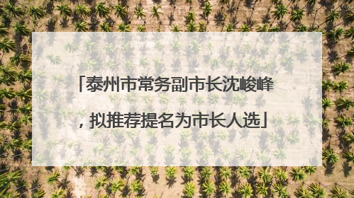 泰州市常务副市长沈峻峰，拟推荐提名为市长人选