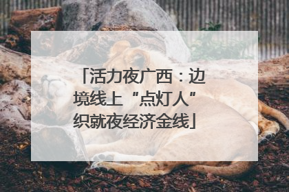 活力夜广西：边境线上“点灯人”织就夜经济金线