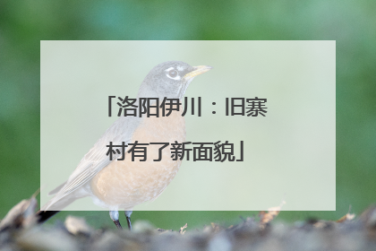 洛阳伊川：旧寨村有了新面貌