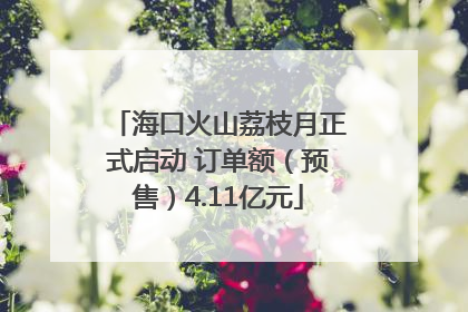 海口火山荔枝月正式启动 订单额（预售）4.11亿元