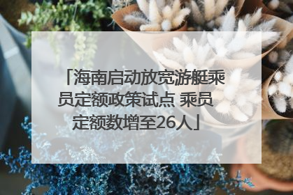 海南启动放宽游艇乘员定额政策试点 乘员定额数增至26人