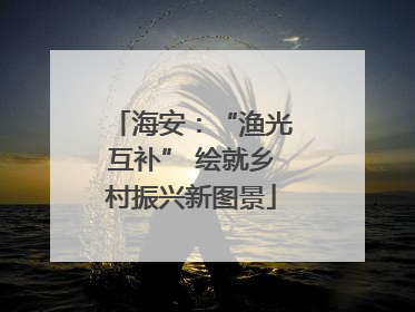 海安：“渔光互补” 绘就乡村振兴新图景