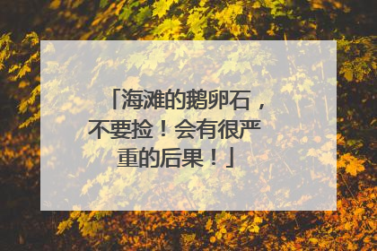 海滩的鹅卵石，不要捡！会有很严重的后果！