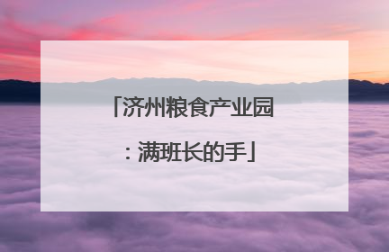 济州粮食产业园：满班长的手