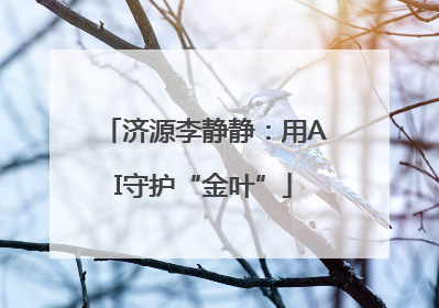 济源李静静：用AI守护“金叶”
