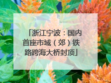 浙江宁波：国内首座市域（郊）铁路跨海大桥封顶