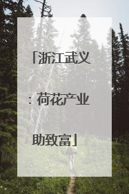 浙江武义：荷花产业助致富
