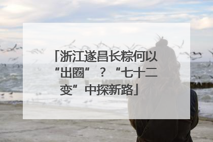浙江遂昌长粽何以“出圈”？“七十二变”中探新路