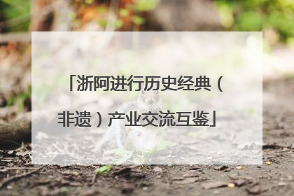 浙阿进行历史经典（非遗）产业交流互鉴