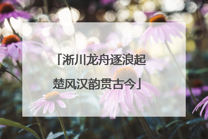 淅川龙舟逐浪起 楚风汉韵贯古今