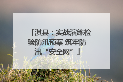 淇县：实战演练检验防汛预案 筑牢防汛“安全网”
