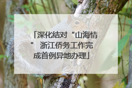 深化结对“山海情” 浙江侨务工作完成首例异地办理