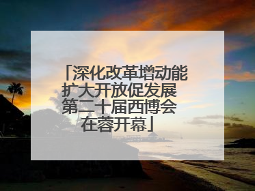深化改革增动能 扩大开放促发展 第二十届西博会在蓉开幕