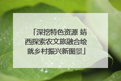 深挖特色资源 靖西探索农文旅融合绘就乡村振兴新图景