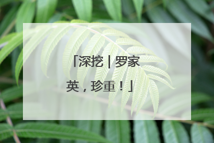 深挖｜罗家英，珍重！