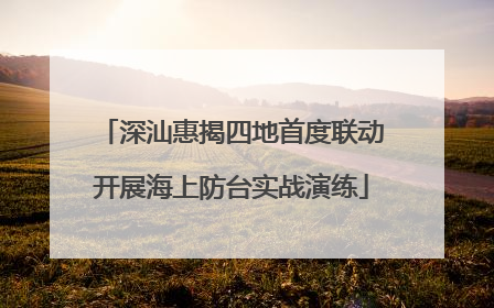 深汕惠揭四地首度联动开展海上防台实战演练