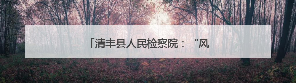 清丰县人民检察院：“风筝未检”护航“高考”