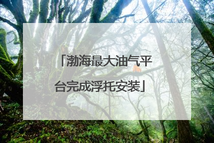 渤海最大油气平台完成浮托安装